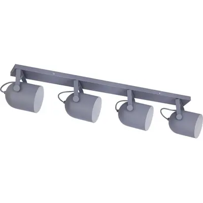Спот TK Lighting 2619 Spectra Gray (2619)